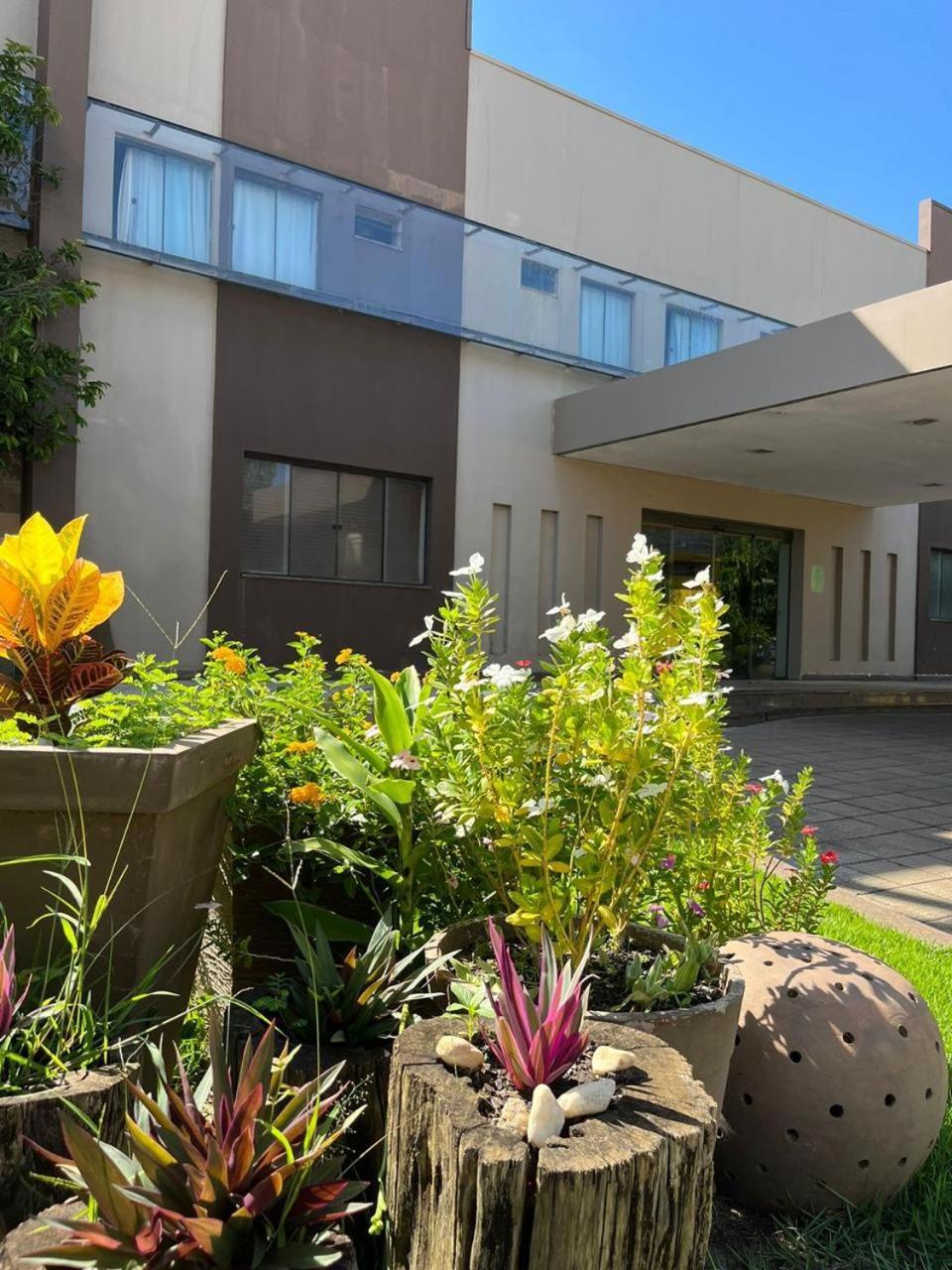Maximus Business Hotel Ji-Paraná Dış mekan fotoğraf
